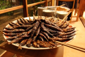 �摜(300x200)�E�g��摜(354x236)