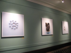 �摜(300x225)�E�g��摜(340x255)