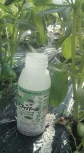 画像(166x300)・拡大画像(355x640)