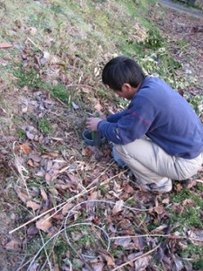 �摜(225x300)�E�g��摜(255x340)