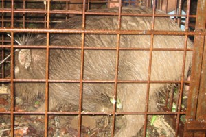 �摜(300x200)�E�g��摜(354x237)