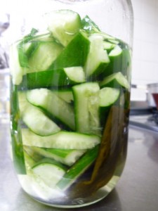 �摜(225x300)�E�g��摜(480x640)