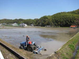 �摜(300x225)�E�g��摜(640x480)