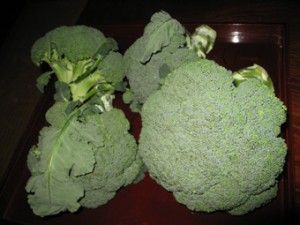 �摜(300x225)�E�g��摜(340x255)