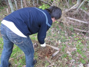 �摜(300x225)�E�g��摜(640x480)