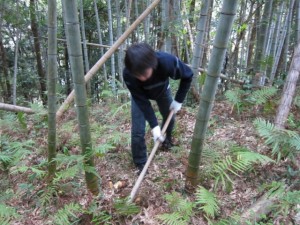 �摜(300x225)�E�g��摜(640x480)