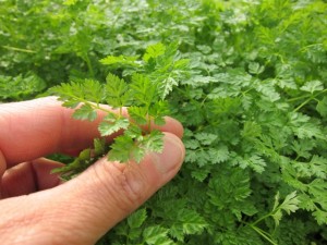 �摜(300x225)�E�g��摜(640x480)