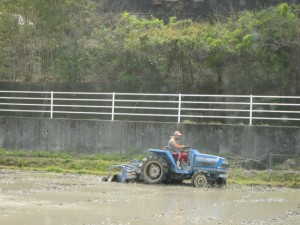 �摜(300x225)�E�g��摜(640x480)