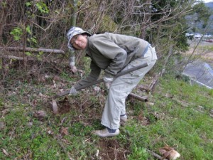 �摜(300x225)�E�g��摜(640x480)