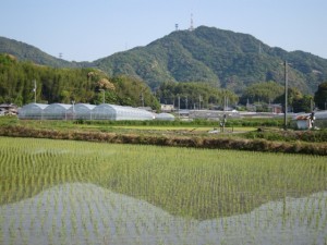 画像(300x225)・拡大画像(640x480)