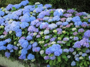 �摜(300x225)�E�g��摜(640x480)