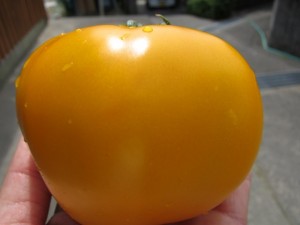 �摜(300x225)�E�g��摜(640x480)