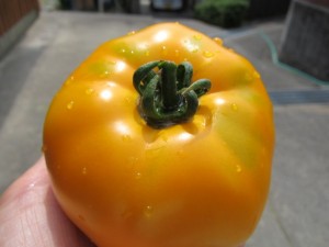 �摜(300x225)�E�g��摜(640x480)