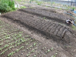 �摜(300x225)�E�g��摜(640x480)