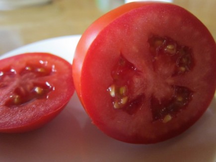 �摜(435x326)�E�g��摜(640x480)