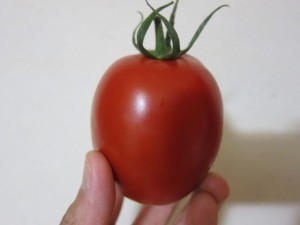 �摜(300x225)�E�g��摜(640x480)