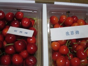 画像(300x225)・拡大画像(640x480)