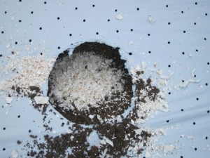 �摜(300x225)�E�g��摜(640x480)