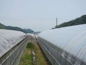 �摜(300x225)�E�g��摜(640x480)