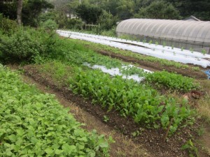 �摜(300x225)�E�g��摜(640x480)