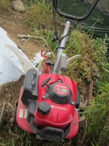 �摜(225x300)�E�g��摜(480x640)