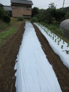 �摜(225x300)�E�g��摜(480x640)