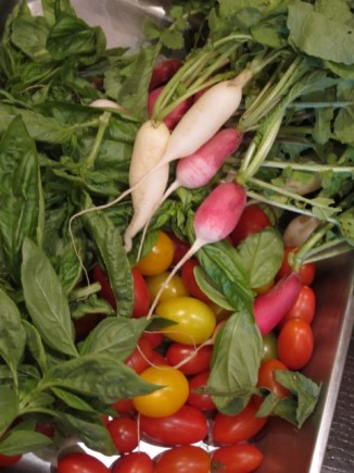 �摜(326x435)�E�g��摜(480x640)