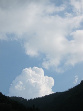 画像(326x435)・拡大画像(480x640)