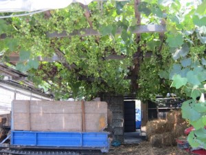 �摜(300x225)�E�g��摜(640x480)