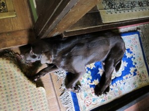 �摜(300x225)�E�g��摜(640x480)