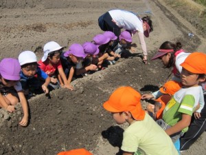 �摜(300x225)�E�g��摜(640x480)