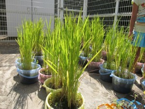 �摜(300x225)�E�g��摜(640x480)