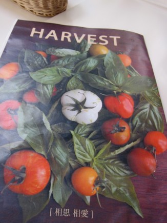 �摜(326x435)�E�g��摜(480x640)