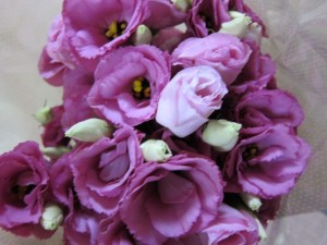 �摜(300x225)�E�g��摜(640x480)