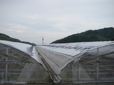 �摜(435x326)�E�g��摜(640x480)