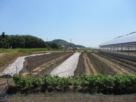 �摜(435x326)�E�g��摜(640x480)